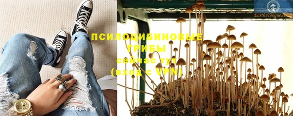 экстази Вяземский
