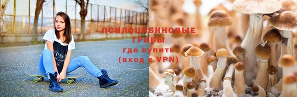 экстази Вяземский