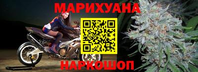 прущие грибы Волгодонск