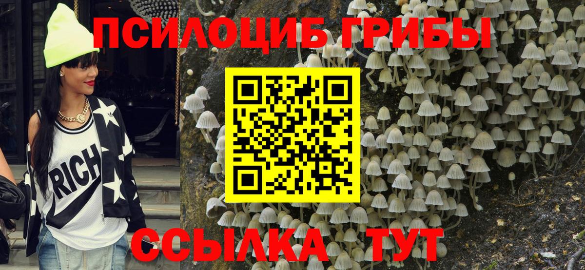 Галлюциногенные грибы Magic Shrooms Зеленокумск