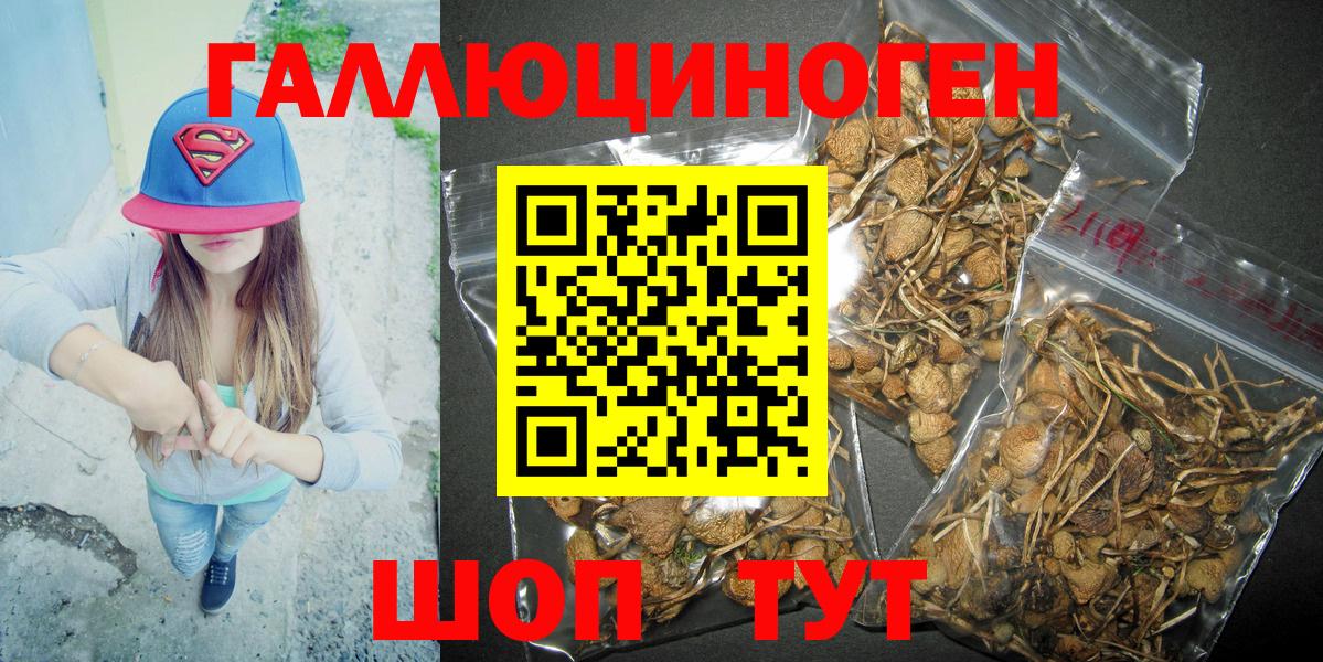 купить   Зеленокумск  Галлюциногенные грибы ЛСД  Псилоцибиновые грибы мухоморы 