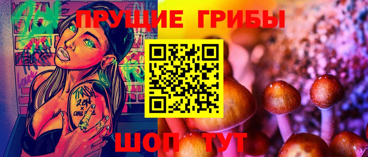 Псилоцибиновые грибы прущие грибы Зеленокумск