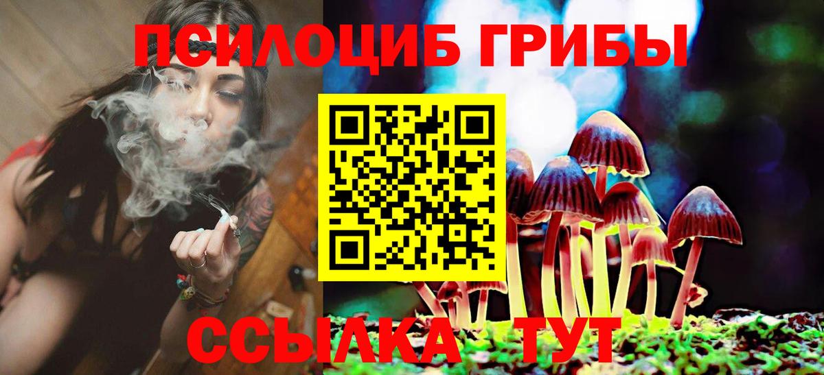 Галлюциногенные грибы Psilocybe  как найти   Зеленокумск  Вход с VPN 