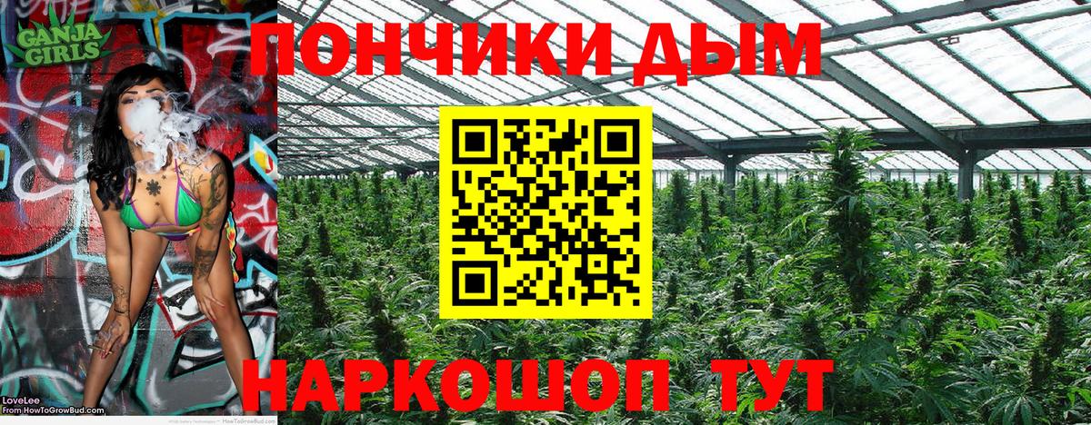 Конопля сатива  Каннабис конопля  Зеленокумск  Бошки марихуана OG Kush 